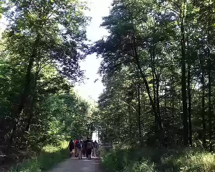 001 Départ de Saint-Cyr (Yvelines) pour une boucle de 20 km dans la forêt de Versailles via les étangs de la Haute Vallée de la Bièvre