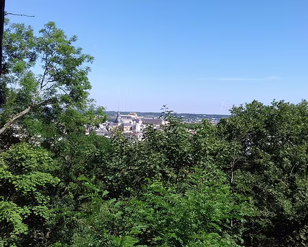 005 La cathédrale Saint-Louis (Versailles)