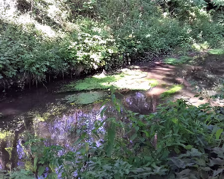 009 La Bièvre, longue de 32 km, se jette dans la Seine à Paris