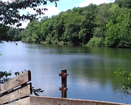 033 L’étang du Val d’Or (5 ha), sur la commune de Guyancourt, est traversé par la Bièvre