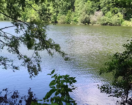 035 L’étang du Moulin à Renard (Guyancourt), a été créé par Colbert pour alimenter en eau les jardins de Versailles