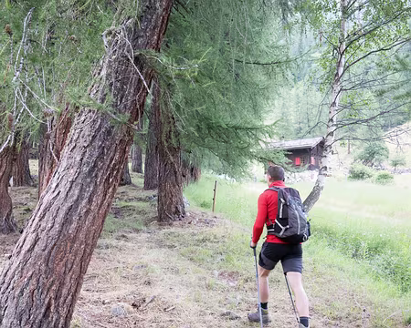 20220703-08h21m35s-XLA02022-V3 Démarrage dans les mélèzes