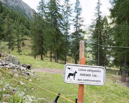 20220703-08h25m45s-XLA02023-V3 J'ai essayé, les participants n'apprécient pas vraiment la laisse...