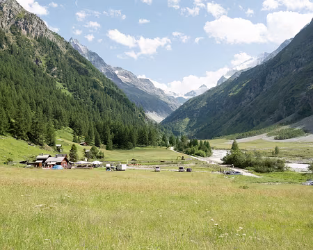 20220703-17h03m35s-XLA02093-V3 Un camping dans les prés