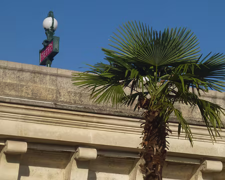 P1150428 Mascarons du Pont Neuf