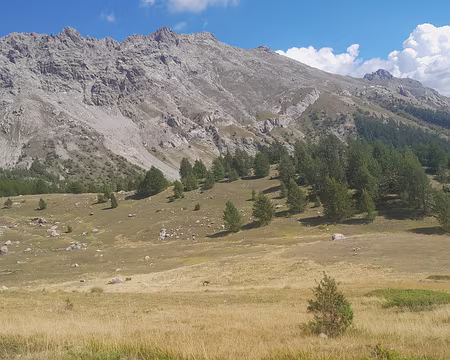 RC Queyras (12) Montée vers le col de Moussière