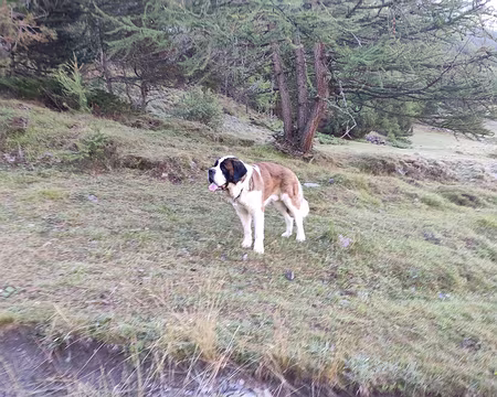 IMG_20220827_095301 Où est son tonneau ?