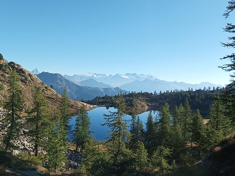 Danielle Danielle H, détail sortie