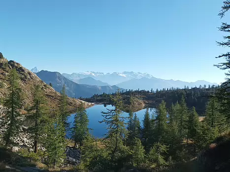 Danielle Danielle H, détail sortie