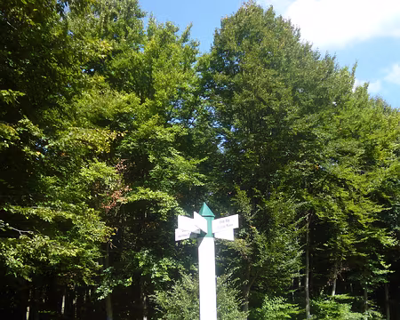 P1150553 Poteau Alix en forêt de Coye