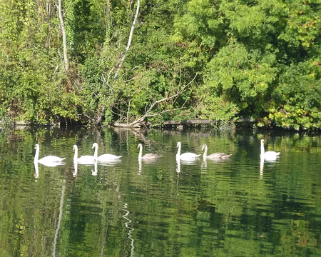 P1150638 Belle famille