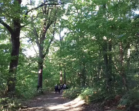 001 Départ pour une randonnée de 18 km en Val d’Oise, dans le parc naturel régional du Vexin français, de Champagne-sur-Oise à L’Isle-Adam, via la forêt de la Tour...