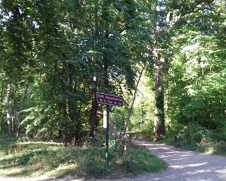003 La forêt domaniale de la Tour du Lay est située sur un coteau calcaire au nord-ouest de Champagne-sur-Oise