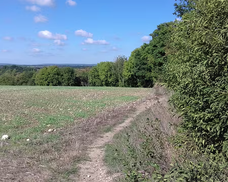 007 Paysage agricole du Vexin