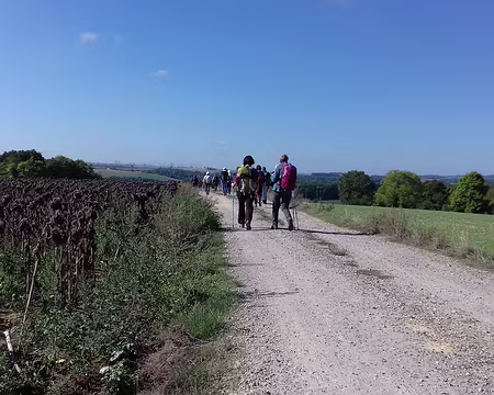 008 Chemin sur le plateau