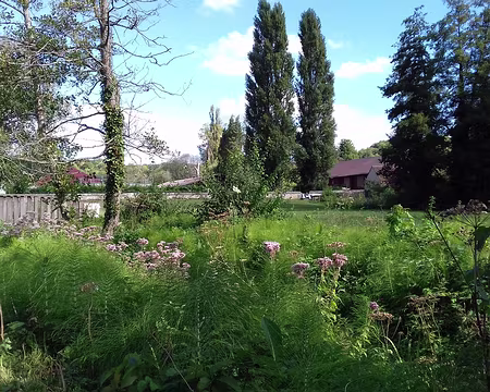 019 Lieu idéal pour le pique-nique dans la prairie près du ru d’Hédouville