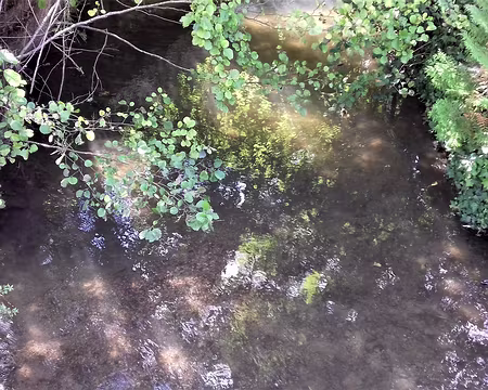 027 Le Sausseron, affluent de l’Oise, à Labbeville