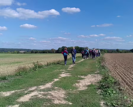 033 Chemin en herbe sur le plateau agricole. Au loin, la vallée du Sausseron
