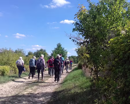 034 Quelques haies ont été plantées pour la biodiversité