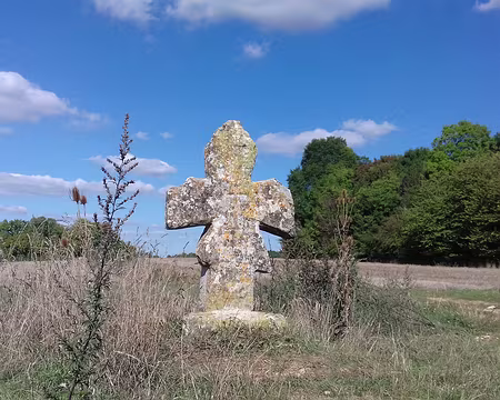 036 La croix des Friches (XIIème siècle), sur la sente au Beurre, est une croix pattée typique du Vexin. Elle marquait la limite entre les paroisses de Nesles et de...