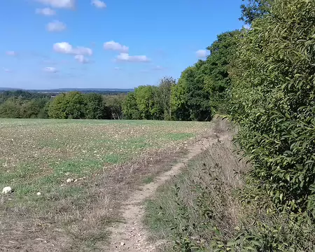 007 Paysage agricole du Vexin