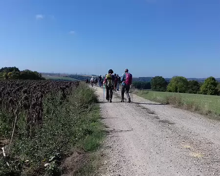 008 Chemin sur le plateau