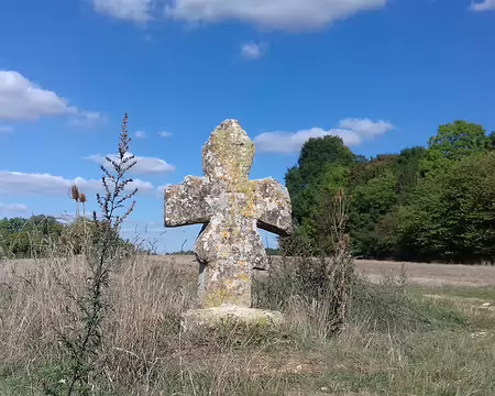 036 La croix des Friches (XIIème siècle), sur la sente au Beurre, est une croix pattée typique du Vexin. Elle marquait la limite entre les paroisses de Nesles et de...