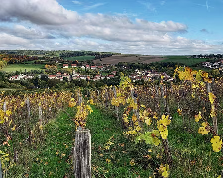 16 Coteaux de Villiers-St-Denis