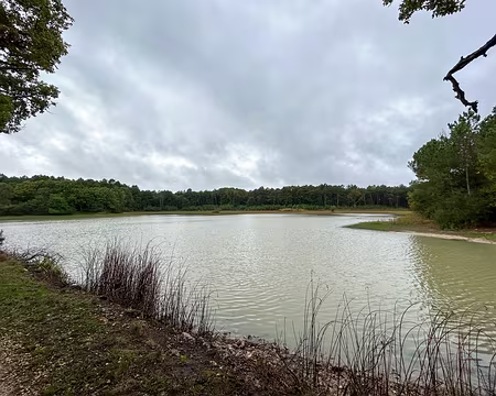 51-IMG_7539 Etang de la Forge