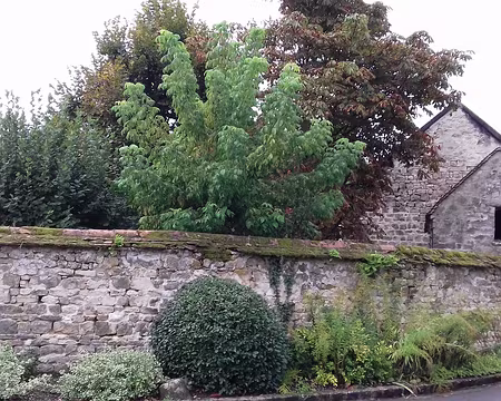 004 A Bourron-Marlotte