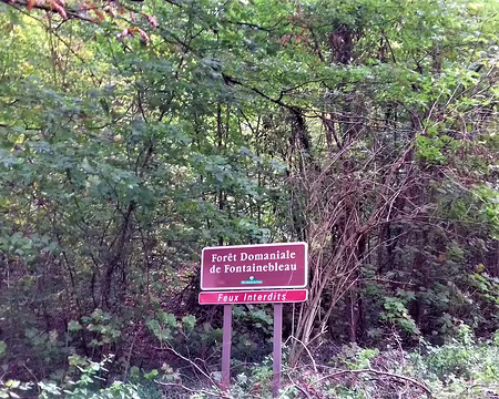 009 Arrivée dans la forêt domaniale de Fontainebleau par la rue des Quatre Chemins