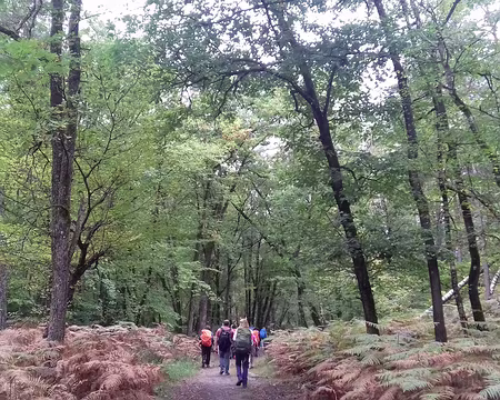 016 Sur la route de Valmy