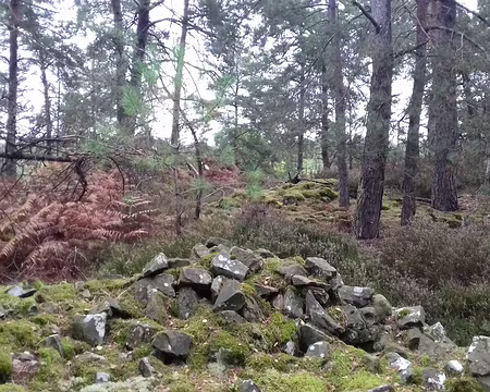 017 Vestiges d’une ancienne carrière de grès autrefois utilisé pour paver les rues de Paris