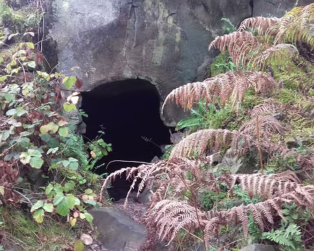021 Une « grotte » près du foyer