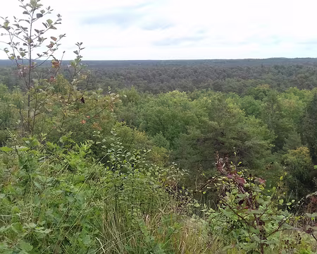 023 offre un beau panorama sur la forêt de Fontainebleau vers l’est
