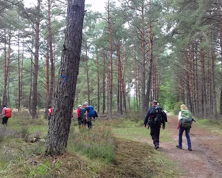 031 Sur les sentiers bleus