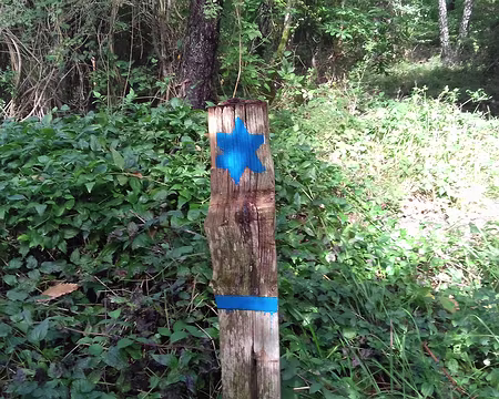 035 Autre curiosité …