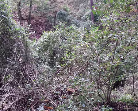 036 la dépression du Puits fondu (cône de dissolution)