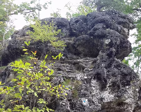 038 Le Rocher du Carrosse