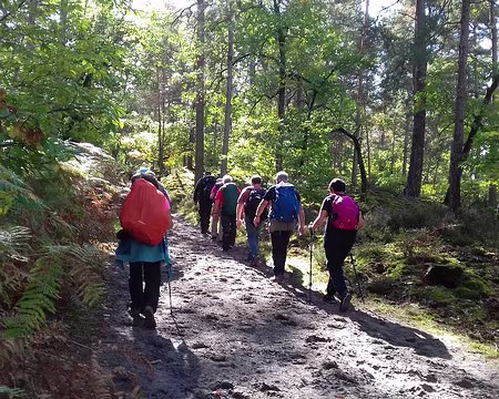 043 En rang sur la route du Haut-Mont