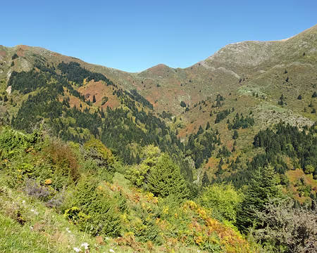 DSC00162 Couleurs d'automne