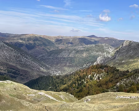 20221010_120629474_iOS