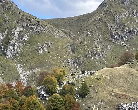 20221010_123339106_iOS