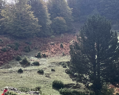 20221012_080046966_iOS