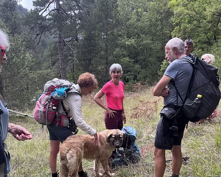 20221013_104902013_iOS