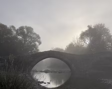 20221016_055043271_iOS