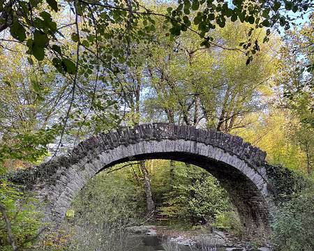 20221016_061440626_iOS