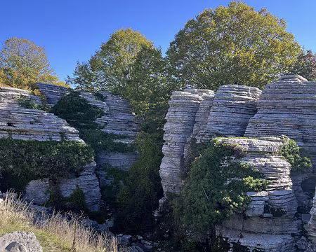 20221017_070718913_iOS