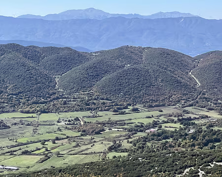 20221017_104922287_iOS