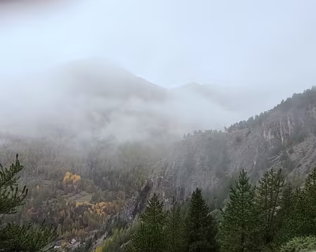 003 dans la brume...